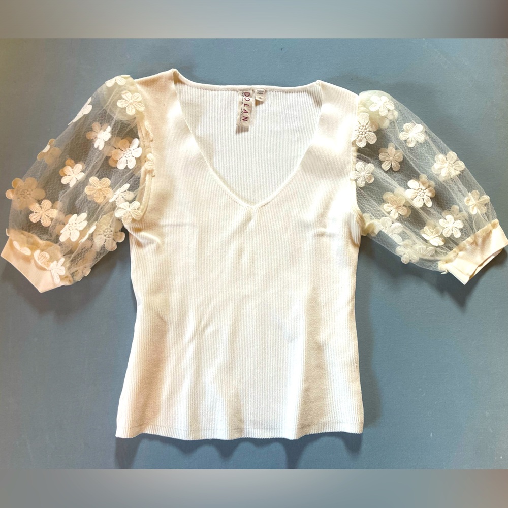Anthropologie Cream V-Neck Sweater with Floral Sleeves